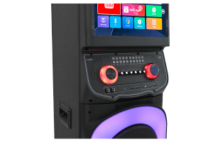 רמקול קריוקי פרטי עם WiFi, מסך מגע RGB, וופר כפול 12 אינץ', למסיבות וידאו, אלחוטי 5.0 למחשב ולטלפון נייד - Product Image 4