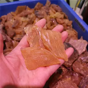 Prix de gros naturel ambre polie pierre spécimens d'ambre brut dégringolé pierre matériau spécimen