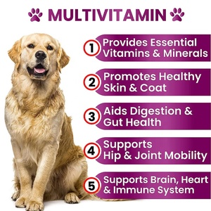 Chien Multivitamine <span class=keywords><strong>Glucosamine</strong></span> Suppléments Hanche et Articulation Immunitaire Booster Peau Coeur Senior et Chiot Multivitamine pour Chiens - Product Image 2