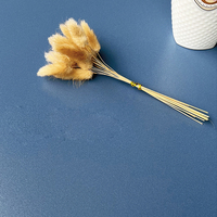 Carrelage pleine masse en porcelaine PEI4 600x1200, finition mate douce, bleu clair / bleu Klein, texture premium pour murs et sols