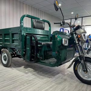 Triciclo Eléctrico Ligero de 3 Ruedas, de Acero Inoxidable, con Batería, para Carga, 1500w, para Adultos - Product Image 3