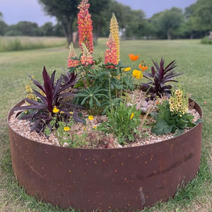 Metal Garden Landscape Lawn Border Garden <b>Edging</b> in Rusted Corten Steel - Product Image 5