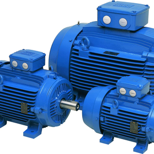Motor de Inducción Trifásico Antiexplosión de Alta Eficiencia WEG W21 4P 15KW-380V-50Hz, Motor de Jaula de Ardilla de Baja Tensión CA W21 - Product Image 2