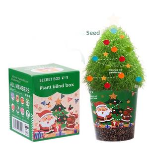 Nouvelle Boîte Mystère de Plantes du Nouvel An : Petites Plantes en Pot à Cultiver – Cadeau pour Élèves de Maternelle et d'École Primaire – Mini Plantes de Bureau pour le Festival du Printemps - Product Image 5