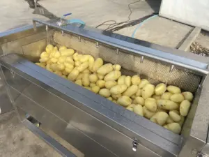 Otomatik sanayi fırça patates soyma makinesi sebze yıkama
