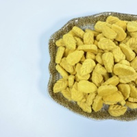 Friandises de citrouille lyophilisées en gros, naturelles, riches en fibres, saines pour l'intestin, biscuits pour chiens à la citrouille, approvisionnement en vrac, friandises pour chats et chiens