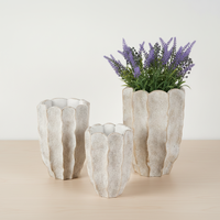 Pots de jardinière en ciment champignon écologique nouveau design Pots de fleurs de jardin emballés dans un carton