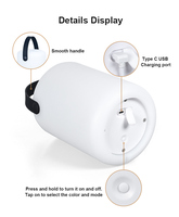 Lampe de table solaire LED portable, lanterne d'extérieur, rechargeable par USB, 8 couleurs, télécommande, intensité réglable, pour camping, patio, balcon