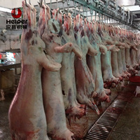 Chaîne de production clé en main pour l'abattage de moutons et d'agneaux, avec moteur, roulement et acier inoxydable 304