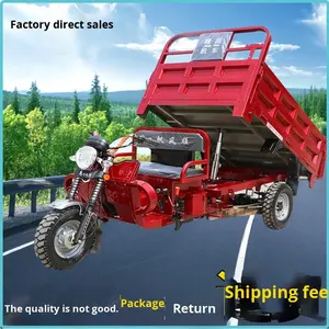 Véhicule domestique à trois roues à assistance électrique sous licence Moteur de déchargement de carburant à essence refroidi à l'eau Tricycles motorisés plats - Product Image 2