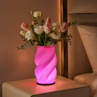 Lampe de table moderne multicolore en ABS imprimée en 3D, vase abstrait décoratif USB, veilleuse RGB, fleur hydroponique pour salon