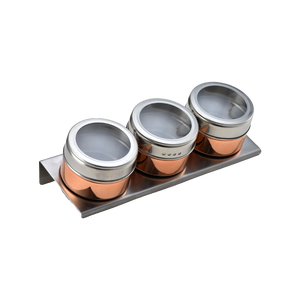 Offre Spéciale boîtes à épices portables en acier inoxydable conteneurs sel et poivre pots à épices café et thé ensemble - Product Image 3