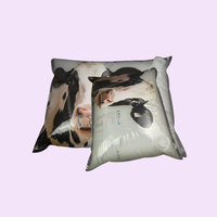 Fournitures Commerciales : Fabricants de Sacs BIB (Bag-in-Box) de 1L, 2L, 5L pour l'Emballage de Liquides, Sacs en Feuille BIB Aseptiques de Qualité Alimentaire pour Jus