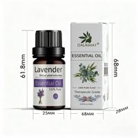 44 parfums, huiles essentielles 100% pures et biologiques, solubles dans l'huile, pour la fabrication de bougies, de parfums, les soins corporels et le SPA