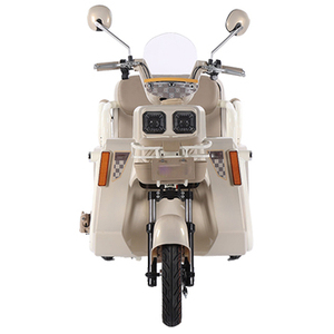 Tricycle électrique Eec Triporteur et tricycles électriques à <span class=keywords><strong>3</strong></span> roues pour adultes, voiture à pédales avec siège arrière, carrosserie ouverte, charge utile élevée, 25-35 km/h - Product Image 3