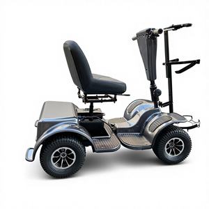 Chariot de golf/<span class=keywords><strong>buggy</strong></span> avec moteur 1000W, cadre en acier, contrôleur Curtis, porte-bagages avant pour handicapés - Product Image 5