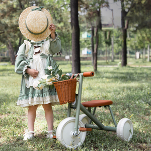 Tricycles de bicyclette pour enfants avec auvent, pliable et polyvalent, à 3 roues avec siège avant pour <span class=keywords><strong>maman</strong></span> - Product Image 6