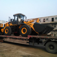 Chargeur de canne à sucre 5 Tonnes Chargeuse sur pneus Niveleuse Bulldozer Chargeur De Grue Ripper Pièces De Rechange