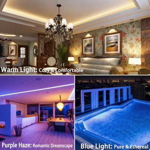 220V High Voltage SMD 5730 LED <b>Strip</b> Light 120 LEDs/m Double Row Diagonal Violet Ice Blue 3-Step Color Changing Tape - Product Image 6