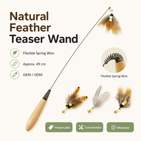 Baguette à plumes pour chat avec manche en bois, ressort en fil d'acier, tête remplaçable, OEM ODM, commandes en gros, jouets interactifs pour animaux de compagnie