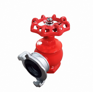 Raccord de poteau d'incendie pour lutte contre l'incendie DN50 en fonte, fileté au bas - Product Image 1