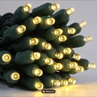 Lampu String LED Mini 5MM Sudut Lebar Cekung untuk Natal dengan Colokan Koaksial AS/Kanada Panjang 25FT Berperingkat IP65 Mudah Dipasang