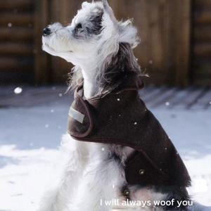 O inverno luxuoso Pet veste a jaqueta Eco-friendly do cão do estilo britânico clássico sólido do algodão para cães pequenos de tamanho médio para o Natal - Product Image 2