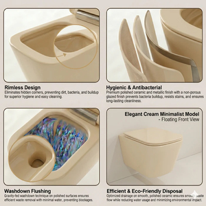 Inodoro moderno de pared para baño y cocina con bidé, rociador vertical de cerámica, inodoros en varios colores, sanitarios para hotel y ciudad. - Product Image 4