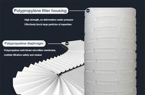 ไส้กรองน้ำแบบพับได้ชนิดเมมเบรน PP/<span class=keywords><strong>PES</strong></span>/PTFE/PVDF/ GF/ไนลอน - Product Image 4