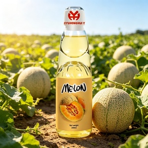 Vin de fruits fermenté saveur melon 200ml, mini bouteille en verre transparent, <span class=keywords><strong>liqueur</strong></span> de fruits sucrée, boisson portable pour fêtes, vente en gros - Product Image 2