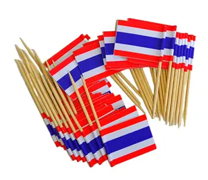 Vente en gros 100 pièces/sac Premium naturel 2023 drapeau personnalisé en bois nourriture pics Cocktail jetable ondulé drapeau cure-dents pour événement et partie