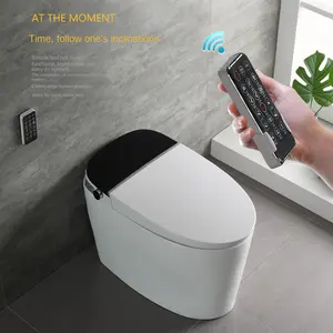Дома с водяным баком без давления воды ограничивает нога чувствует себя промывки автоматический Флип Туалет нажатием одной кнопки ручка умный туалет