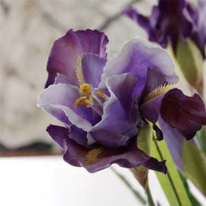 <span class=keywords><strong>S</strong></span>-1489 de haute qualité fleur d'iris artificielle fleurs en soie belle tige de fleur bleue pour la décoration de fête - Product Image 5