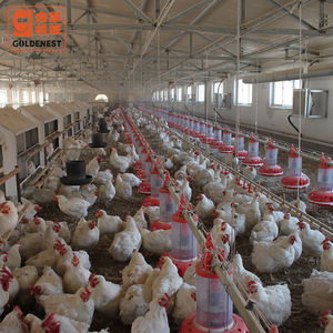 Comedero para Pollos Adultos Machos en Nueva Condición, Cilindro Dosificador, Cubo <span class=keywords><strong>de</strong></span> Alimentación con Cadena, Bandeja <span class=keywords><strong>de</strong></span> Alimentación para Gallinas Ponedoras - Product Image 5