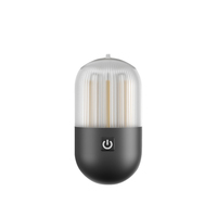 Lampe de camping rechargeable 250 lumens IPX4 avec crochet portable compatible avec un trépied pour le camping