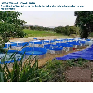 Tanques de cultivo de <span class=keywords><strong>gambas</strong></span> de PVC con revestimiento para estanque de peces de plástico grande SDM - Product Image 3