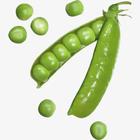 Graines de pois de qualité supérieure, pureté 99%, germination 85%, marque Moon Star, origine Pakistan, pour l'agriculture commerciale