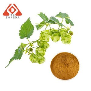 Hongda Cung cấp nhà máy <span class=keywords><strong>humulus</strong></span> <span class=keywords><strong>lupulus</strong></span> <span class=keywords><strong>Hops</strong></span> chiết xuất <span class=keywords><strong>Hops</strong></span> - Product Image 5