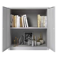 Armoire de rangement verticale en acier moderne à deux portes, ignifuge et étanche, pour la maison, le bureau et l'usage commercial