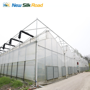 Lớn đa-span nhà kính nông nghiệp với chi phí thấp răng cưa thiết kế thủy canh thực vật thân thiện <span class=keywords><strong>Poly</strong></span> phim Bìa - Product Image 2