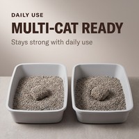 Litière pour chat en bentonite concassée, granulés absorbants rapidement l'humidité, agglomération instantanée, anti-fuite, sable pour toilettes pour chats domestiques