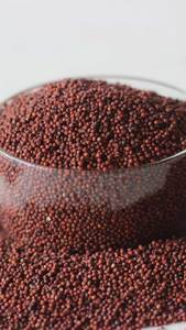 Graines de moutarde rouge DALAI IMPEX en bol doré, épice culinaire naturelle et biologique, origine Orissa - Product Image 3