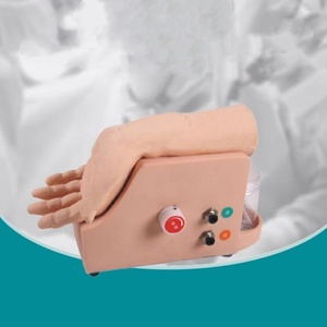 Modelo de Entrenamiento para Análisis de Gases en Sangre Arterial, Modelo de Dispositivo Electrónico de Circulación Sanguínea en Brazo - Product Image 3