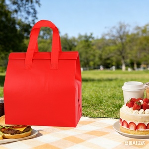 Sac à dos isotherme Mailerpak en non-tissé pour panneaux solaires, avec fermeture éclair – Isolation thermique pour le stockage alimentaire et l'utilisation en extérieur (20L-30L) - Product Image 1