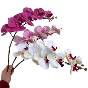 Tiges d'orchidées Phalaenopsis Artificielles Fleurs Branches Real <span class=keywords><strong>Touch</strong></span> Latex Phalaenopsis <span class=keywords><strong>9</strong></span> Grandes Fleurs 38 Pouces - Product Image 2