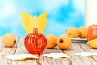 Indoor keukenkwekerij gazon milieuvriendelijke wegwerp plastic vliegenvanger fruitvallen suikeraas kleefplaat insectenbestrijding vlooien planten