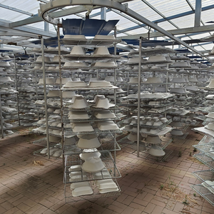 Eco-friendly e degradabile usa e getta Emesis bacino proprio fabbrica - Product Image 4