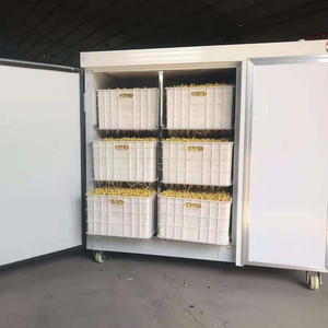 Machine commerciale automatique pour la germination des graines, armoire de culture hydroponique pour la germination des graines, à vendre - Product Image 2