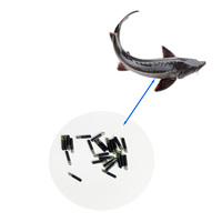 Puce RFID miniature bio-compatible en verre, étanche IP68, pour élevage piscicole, avec puce EM4305 8x1.4mm, 134.2kHz, conforme aux normes ISO11784/85.