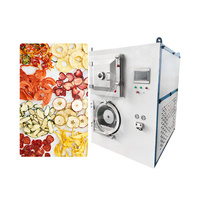 Oceaan Goede Prijs Fruit Lyofiliseren Mini Food Sublimatie Vriesdroger Machine Snoep Vriesdroogmachine Thuisgebruik